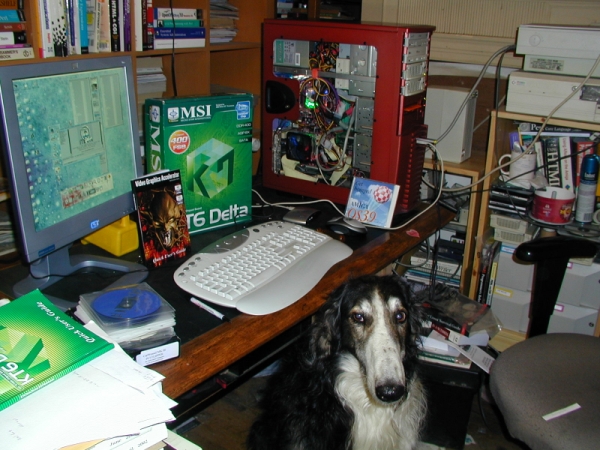 [2004 My Customized AMIthlon computer  and my dog Blaze]