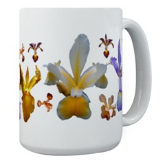 Spuria Irises on a mug